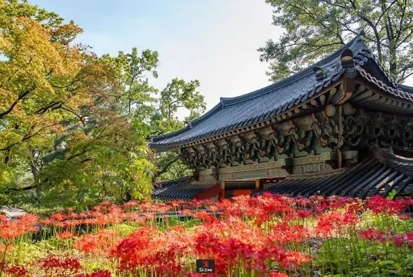아파트 Ieum